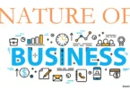 Nature of business