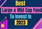 Large and Mid-Cap Funds