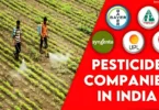 Pesticide companies in India