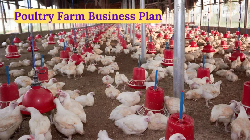 a good business plan on poultry farming