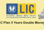 LIC Plan 5 years Double Money