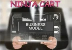 Ninjacart business model