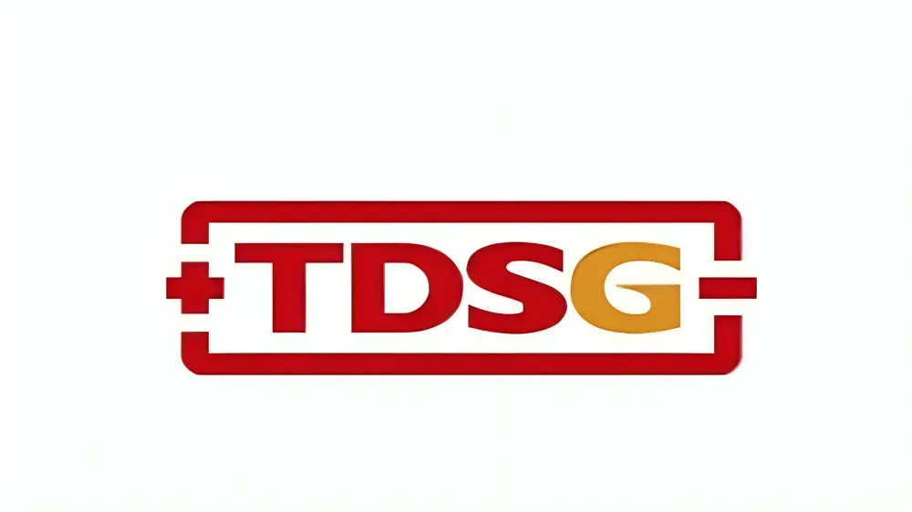 TDSG- Lithium Stocks in India