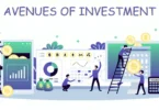 Avenues of Investment
