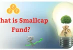 What is small cap fund